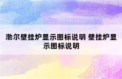 渤尔壁挂炉显示图标说明 壁挂炉显示图标说明